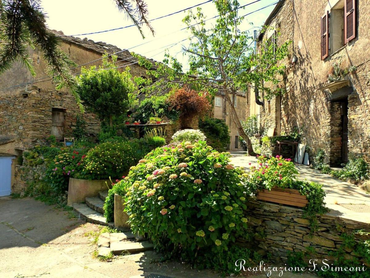 Tres Jolie Maison Aux Portes Du Cap Corse Sisco Exteriör bild
