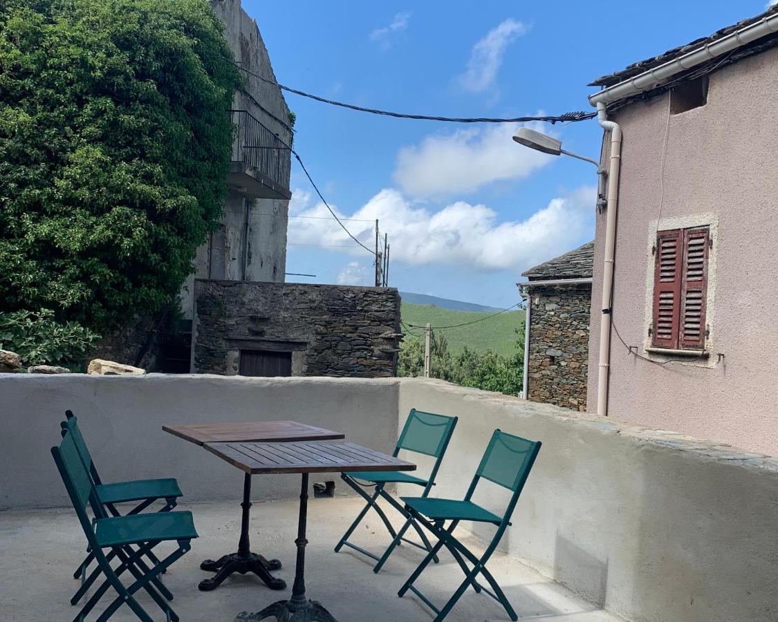 Tres Jolie Maison Aux Portes Du Cap Corse Sisco Exteriör bild