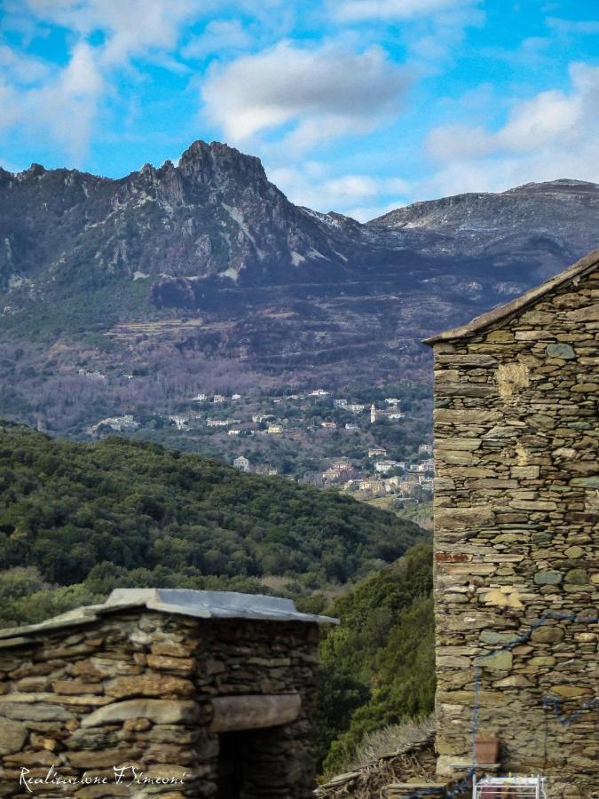 Tres Jolie Maison Aux Portes Du Cap Corse Sisco Exteriör bild
